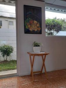 哈拉瓦科阿Apartamento Hogareño的墙上挂着植物的桌子