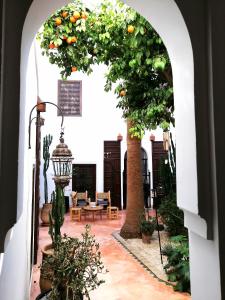 马拉喀什达尔努巴摩洛哥传统庭院住宅的庭院里橘子树拱门