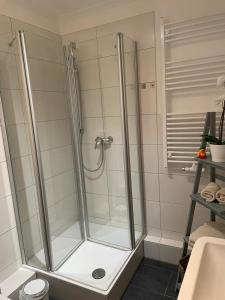 奥斯特巴特宁哈根Ostseestrand-Apartments的浴室里设有玻璃门淋浴