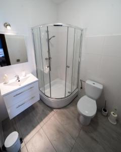 新苏尔Kelman Inn Global Nowa Sól的带淋浴、卫生间和盥洗盆的浴室