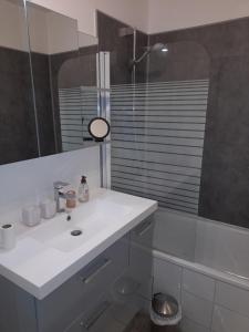 布西圣乔治Studio Meublé的浴室配有白色水槽和淋浴。