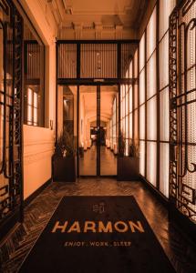 布鲁塞尔Harmon House的楼房的走廊,地板上有黑门地毯