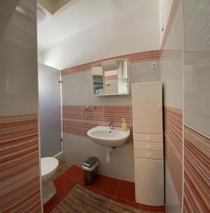 扎达尔Apartments & Rooms Andrea 2的一间带水槽和卫生间的小浴室