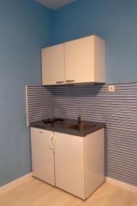 扎达尔Apartments & Rooms Andrea 2的厨房设有水槽和蓝色的墙壁