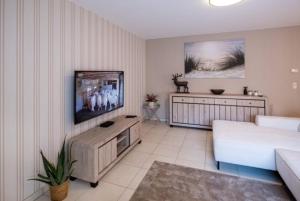 布兰肯贝赫Appartement GT的带沙发和平面电视的客厅