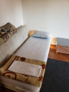 贝尔格莱德Cozy room in appartment, with shared bathroom,downtown Belgrade的带沙发的客厅内的一张床位