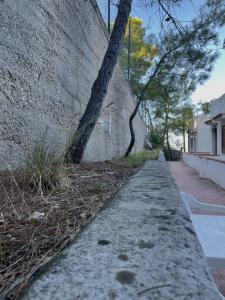 佩斯基奇Residence Montepucci的一条有树的墙边人行道