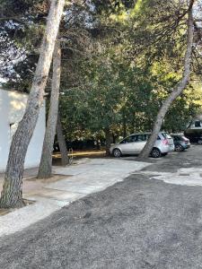 佩斯基奇Residence Montepucci的一群停在一个树木繁茂的停车场的汽车