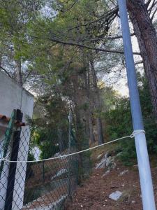 佩斯基奇Residence Montepucci的树后边的链条围栏