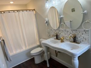 霍兰Holland Farmhouse Inn B&B的一间带水槽、卫生间和镜子的浴室