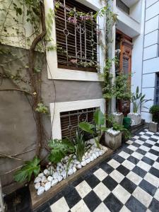 布宜诺斯艾利斯佩蒂帕莱斯住宿加早餐旅馆的房屋设有窗户和 ⁇ 板