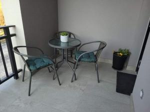 阿伊多夫什契纳Apartma Uhanje pri Božičevih的桌子、两把椅子和桌子,植物