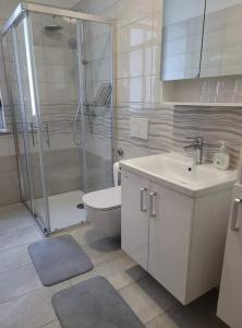 阿伊多夫什契纳Apartma Uhanje pri Božičevih的带淋浴、卫生间和盥洗盆的浴室
