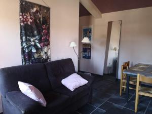 圣路易斯Quinta Cunte - Casa Girassol的客厅配有黑色沙发和桌子