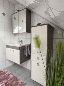 SchauensteinApartment in Schauenstein - Franken 40833的一间带水槽和镜子的浴室