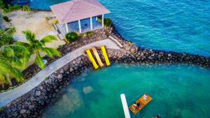 Matatufu萨了托加金沙度假酒店及水疗中心的海洋游泳池的顶部景观