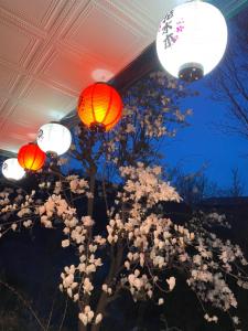 伊东Hanamizuki Onsen Resort的天花板下一组灯笼和花