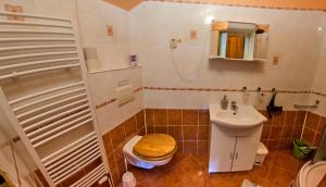 VažecVila Rhea的一间带卫生间和水槽的浴室