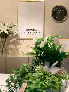 卢德维卡卢德维卡司丹思酒店的墙上的时钟,旁边是桌子,上面有植物