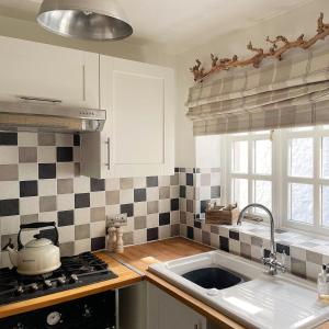 比迪福德Lotte’s Cottage的厨房配有水槽和炉灶