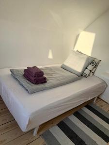 斯凯拜克Jægergård的一张床上有两个枕头的房间