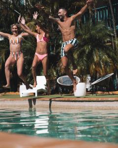 黄金海岸冲浪者背包客巴兹旅舍的一群人跳进游泳池