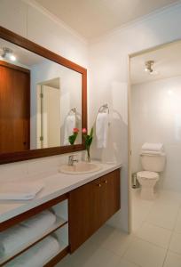 圣地亚哥公园广场公寓酒店的一间带水槽、卫生间和镜子的浴室