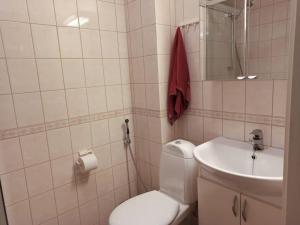 赫尔辛基Cosy Loft的浴室配有白色卫生间和盥洗盆。