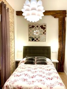 毕尔巴鄂Lauramer Casco Viejo的一间卧室配有一张大床和一个吊灯。