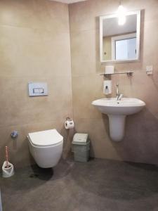 奥塔肯特维拉斯酒店的一间带卫生间和水槽的浴室