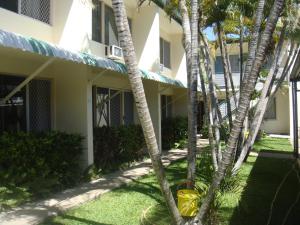 汤斯维尔棕榈水域假日别墅酒店的一群棕榈树在一座建筑前