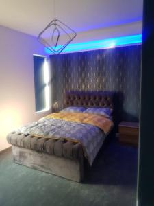 谢菲尔德Highfields Living的一间卧室配有一张特大号床,享有蓝色的灯光