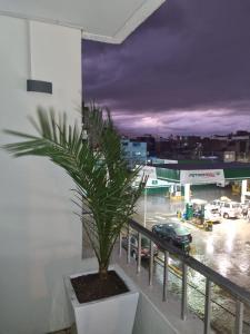 万卡约Hotel Rey的棕榈树坐在俯瞰停车场的阳台