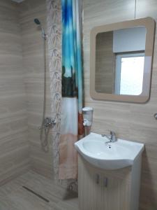 Vadu MoţilorCabana La Cucu的浴室配有盥洗盆和带镜子的淋浴