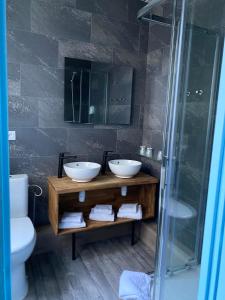 艾克斯莱班Hotel Le Colibri的一间带两个盥洗盆和淋浴的浴室