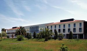 维拉·诺瓦·达·塞尔维尔茵纳特尔塞维拉酒店的一座种植了棕榈树的白色大建筑