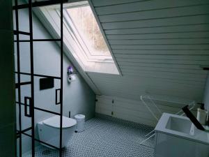 维斯瓦Apartamenty TRZY PTAKI的阁楼浴室设有卫生间和天窗。