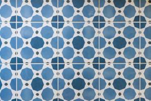特罗吉尔FRANKA的浴室铺有蓝色和白色的瓷砖地板。