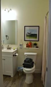 哈奇Sevier River Farmhouse 1的一间带卫生间、水槽和镜子的浴室