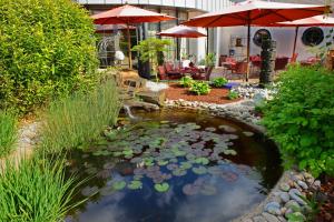 Erpeldange达姆餐厅酒店的一个带遮阳伞的庭院里的一个养百合池