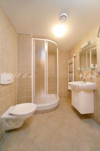 什平德莱鲁夫姆林Hotel pizzeria Belmonte的浴室配有卫生间、淋浴和盥洗盆。