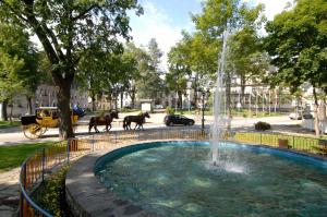 奥泊维森塔尔Hotel Miriquidi的喷泉周围两匹马