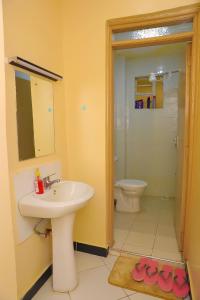 RuiruThe Ivy Suite- one bedroom 3 mins away from Ruiru Rainbow Resort的一间带水槽和卫生间的浴室