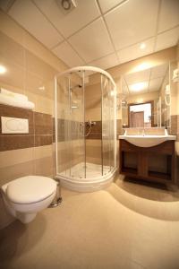 大梅杰尔Margaréta Penzión的浴室配有卫生间、淋浴和盥洗盆。