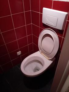 维泰勒Vittel location meublé的铺有红色瓷砖的浴室,在摊位设有卫生间