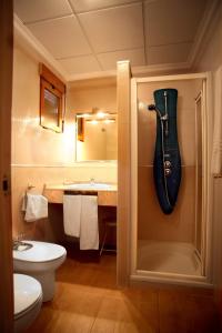 阿索维斯波新镇Hotel La Moraleda - Complejo Las Delicias的浴室配有卫生间、淋浴和盥洗盆。