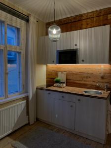 塔林Hipster’s Kalamaja Studio Apartment的厨房设有水槽和窗户。