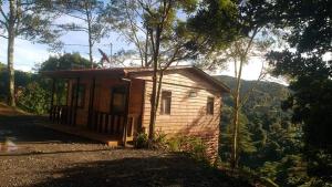 Paso MachoLas Bromelias Lodge的森林中间的小房子