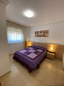 奥罗佩萨德尔马Valparaiso Marina Dór Planta 7的一间卧室设有紫色的床和窗户
