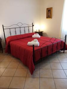 San Demetrio CoroneLa Giara B&B的一张铺有红色床单和白色毛巾的床